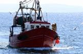 Fishermen Brexit ready