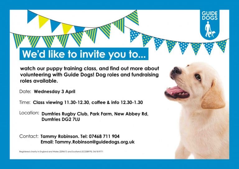 Guide Dog Puppy Training