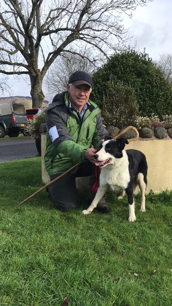 Moffat Sheep Dog Sale 2019