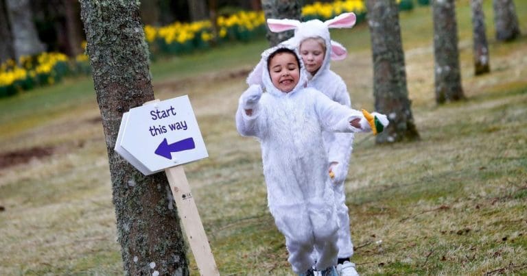 NTS CADBURY EASTER EGG HUNT 2019