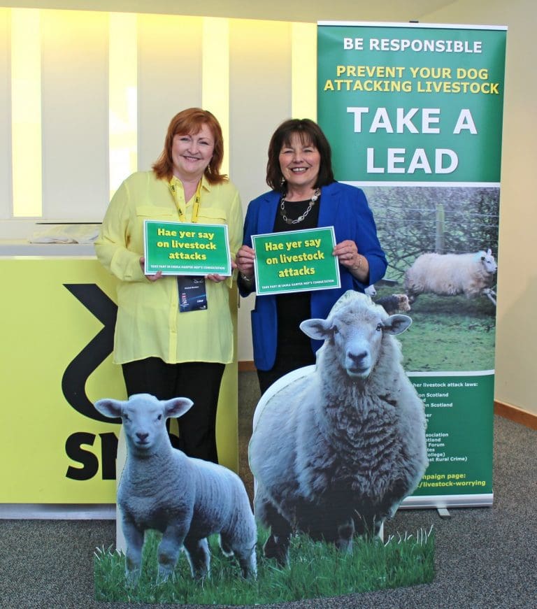 GOVERNMENT MINISTER JOINS EMMA HARPER