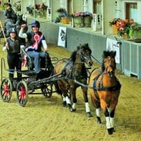 CARRIAGE DRIVERS SUCCESS