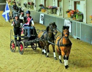 CARRIAGE DRIVERS SUCCESS