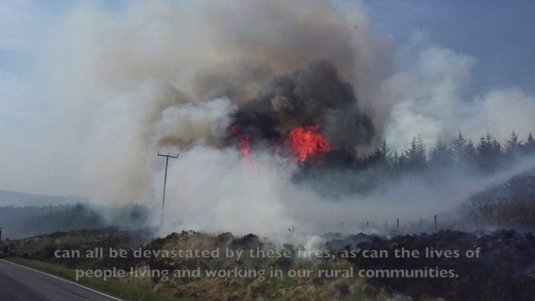 Emergency Services Launch Appeal To The Public To Help Prevent Grass Fires