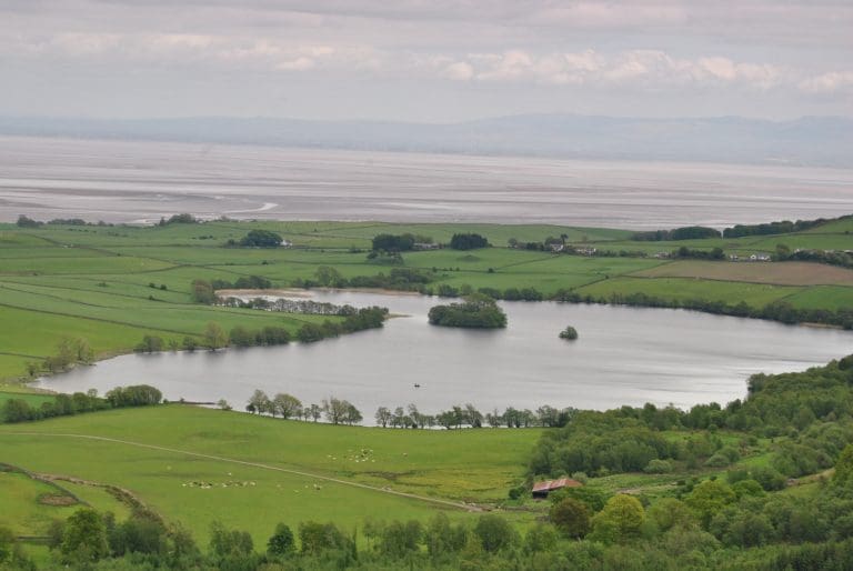 Warning Issued To Animal Owners As Blue Algae Discovered At Loch Kindar