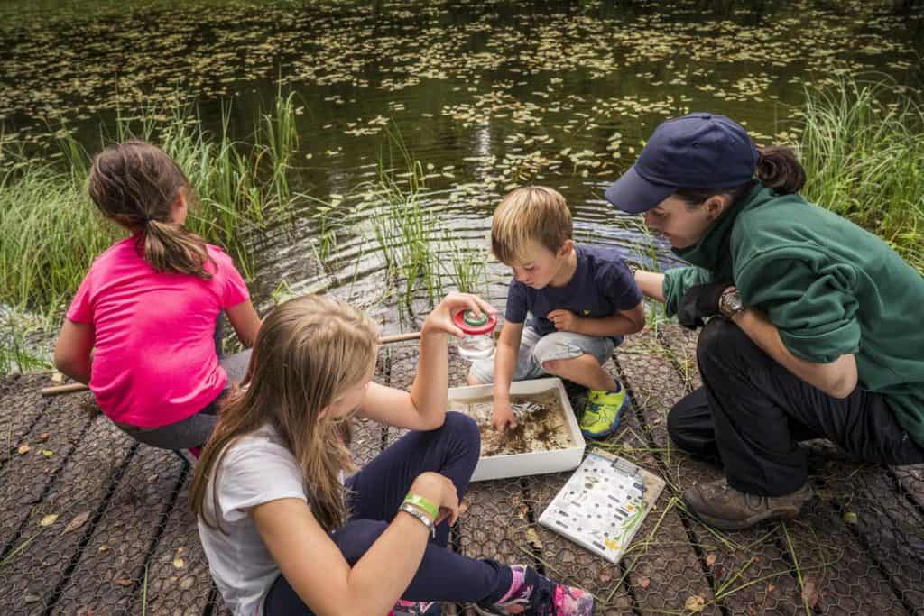 Nature-filled day Drumlanrig Castle