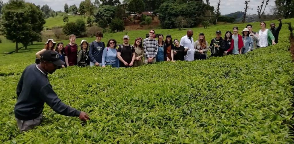 SRUC Masters students learn about food security in Kenya