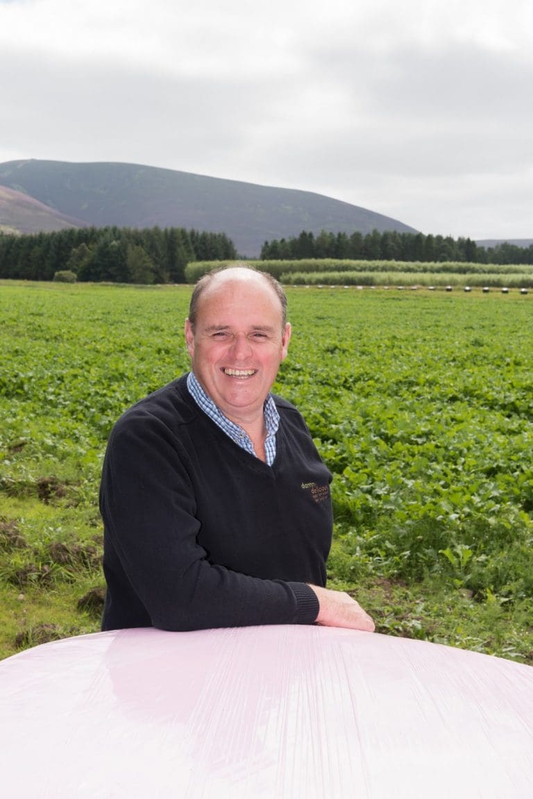 Forage Management Focus