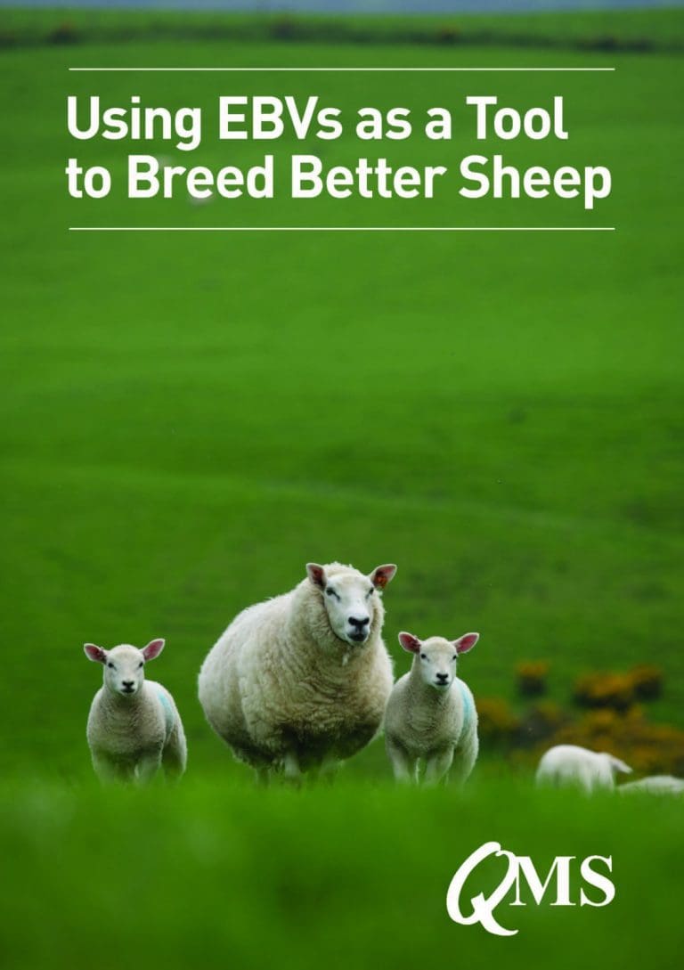 Updated Guide Highlights Valuable Role EBVs
