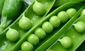 sustainable lysine supply