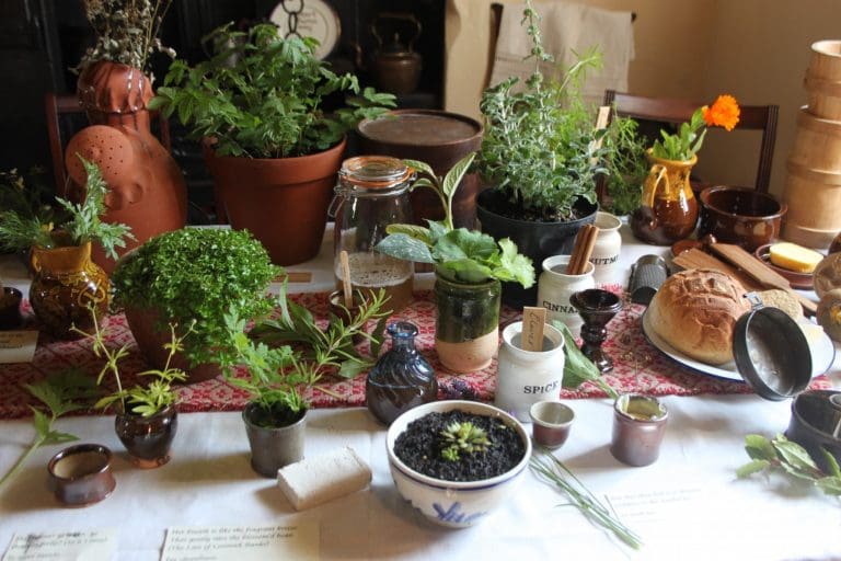 Herbal Storytelling Ellisland