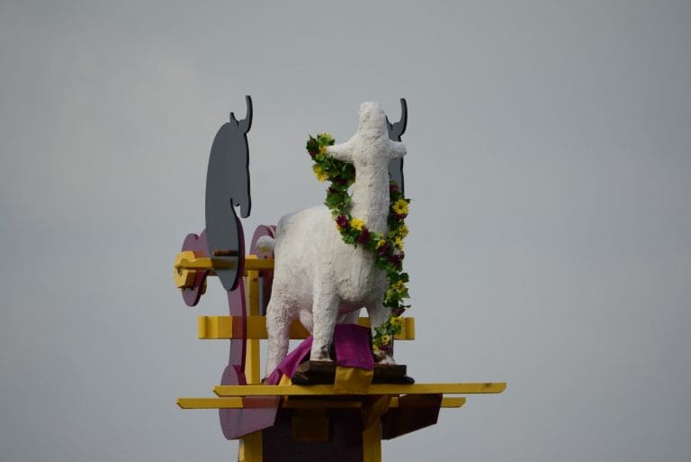 Nithraid 2019
