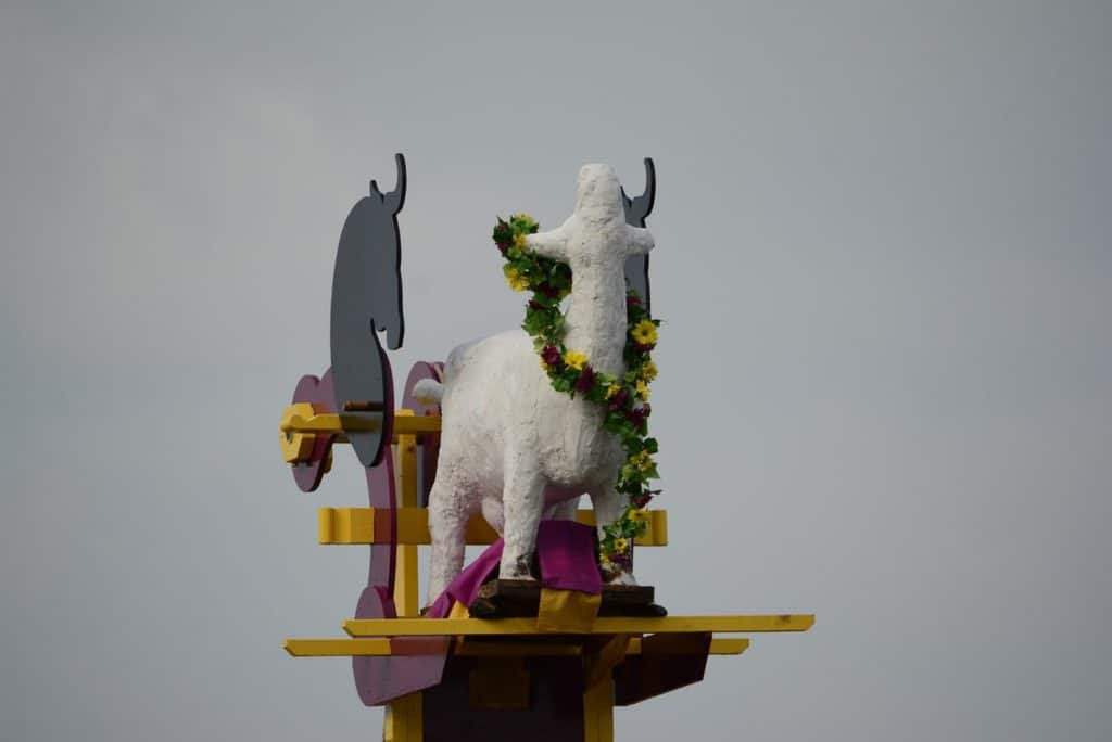 Nithraid 2019