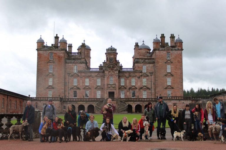 Dog walking Drumlanrig Thornhill