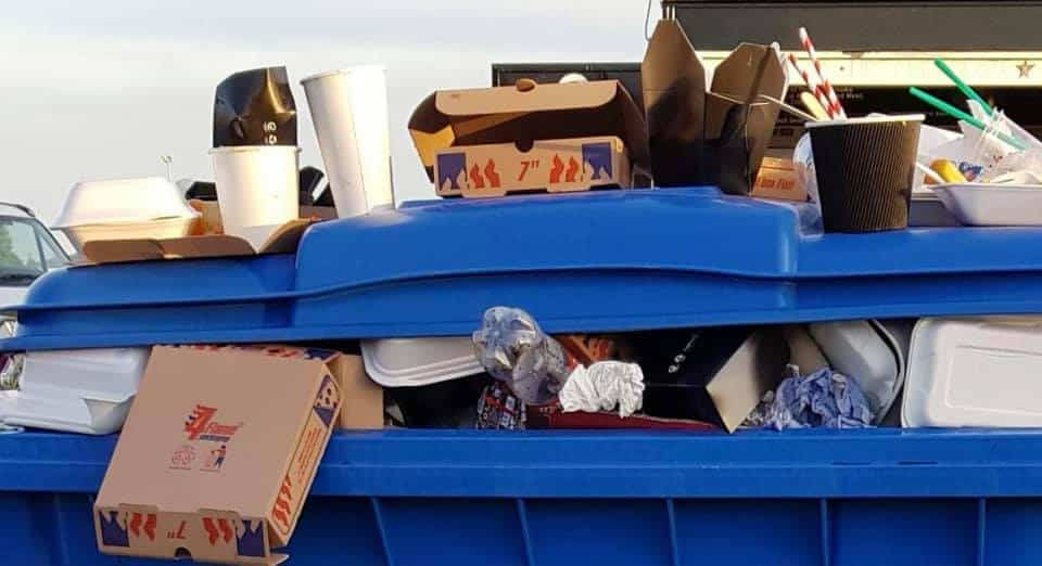 disposable cup