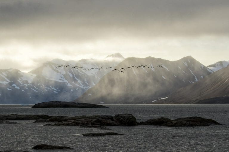 Scotland Arctic – Stories