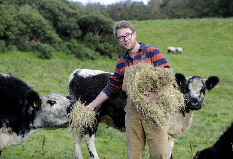 Galloway Beef Cattle Help Protect Wildlife