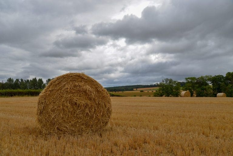 Heavy bales