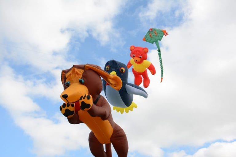 kirkcudbright--second-kite-festival
