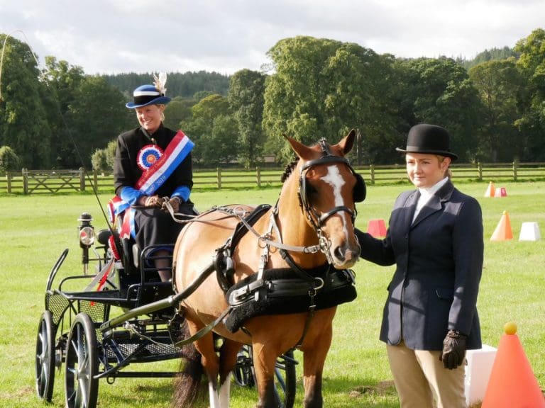 National Success for local Carriage Drivers
