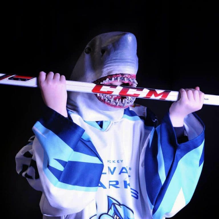 Mixed start 2019 season Junior Sharks