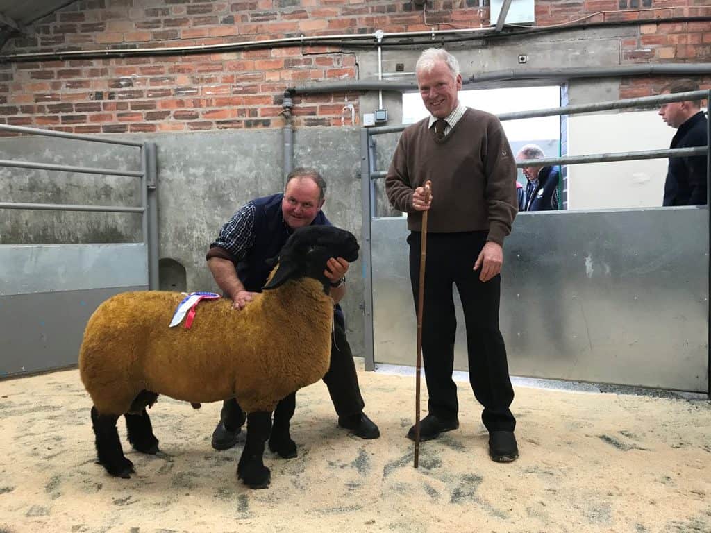 2019 ANNUAL RAMS SALE REPORT - DUMFRIES MART