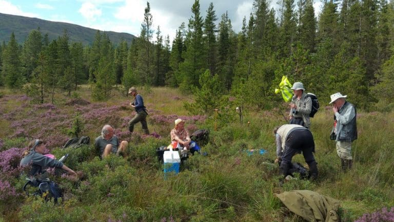Peatlands In The Future: Looking Beyond The Trees