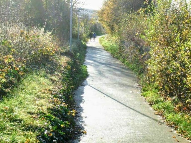 Communities Join Forces To Keep Dumfries Path Open To All