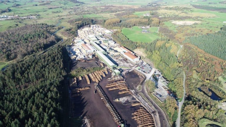 BSW Timber Dalbeattie