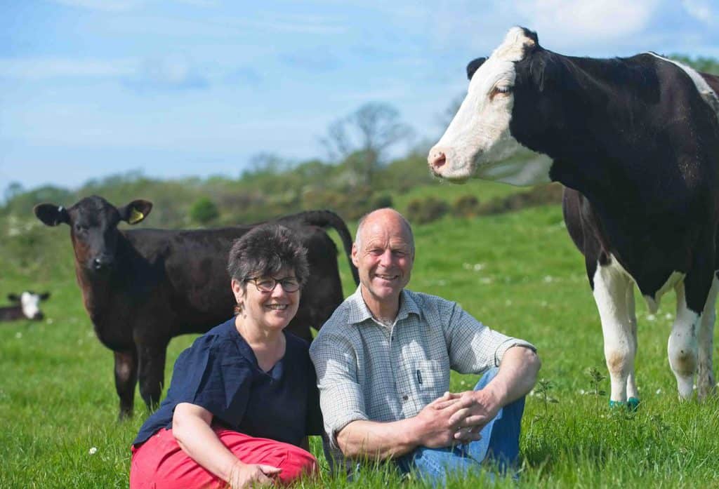 Gatehouse Dairy farm host vegan-friendly farm tour