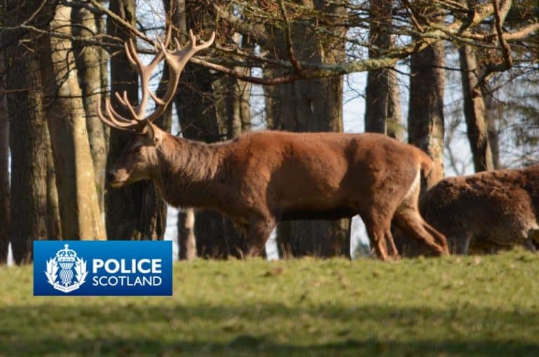 wildlife crime investigators course