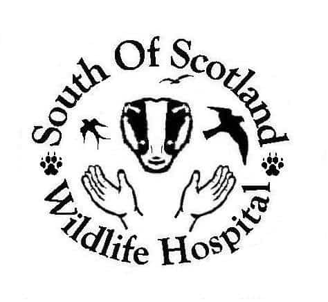 South Scotland Wildlife Hospital Australia Appeal