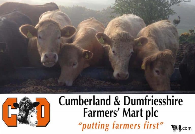 DUMFRIES MART WEEKLY PRIMESTOCK SALE REPORT 26/02/20