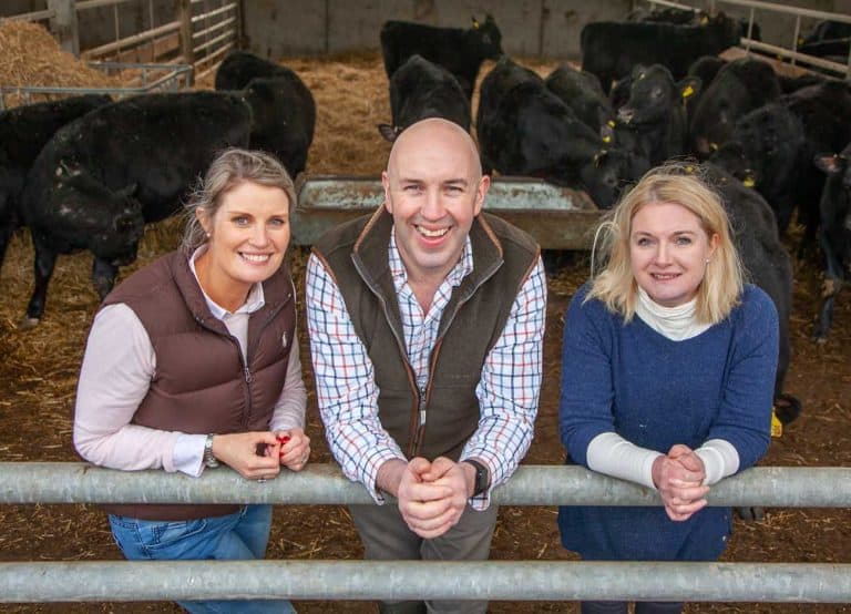 ALDI'S INNOVATIVE PROCUREMENT MODEL FOR BEEF INDUSTRY