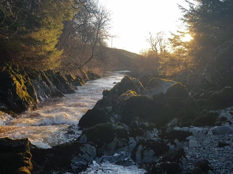 £209,000 LOTTERY FUNDING FOR CARSPHAIRN COMMUNITY WOODLAND