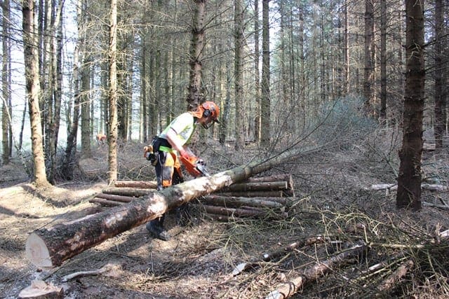 Dumfries Estate Hosts Next Generation Of Foresters