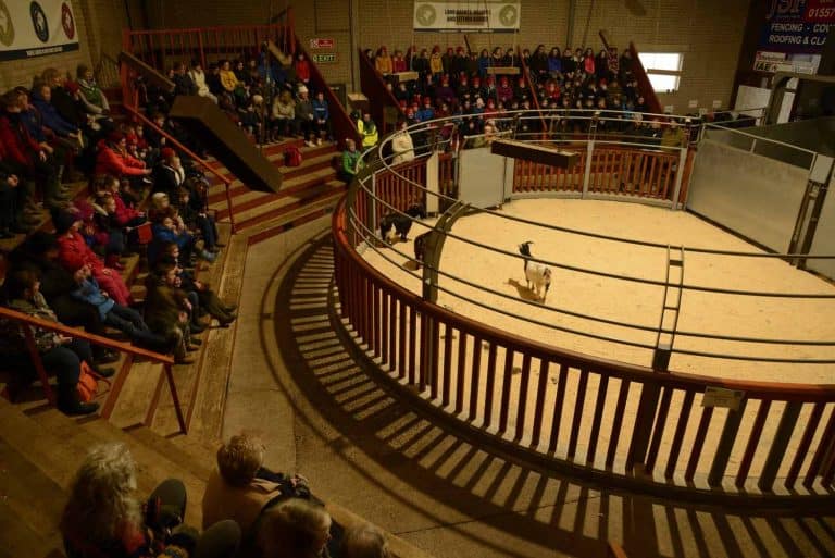 300 Schoolchildren from across the Stewartry attend ‘Food & Farming’ days