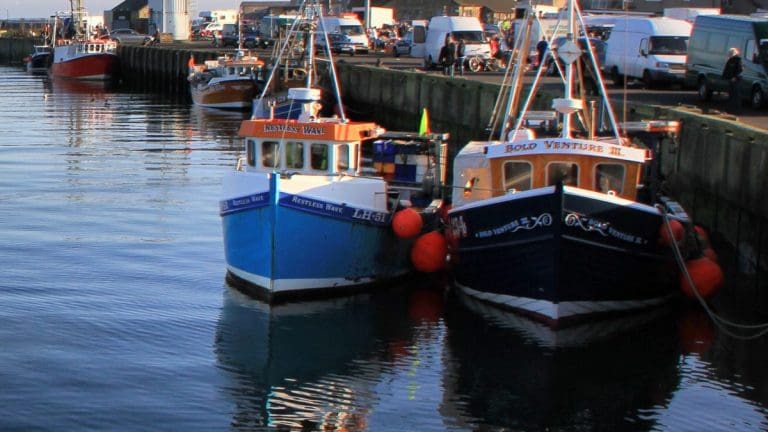 Coronavirus Support For Seafood Fishing Industry