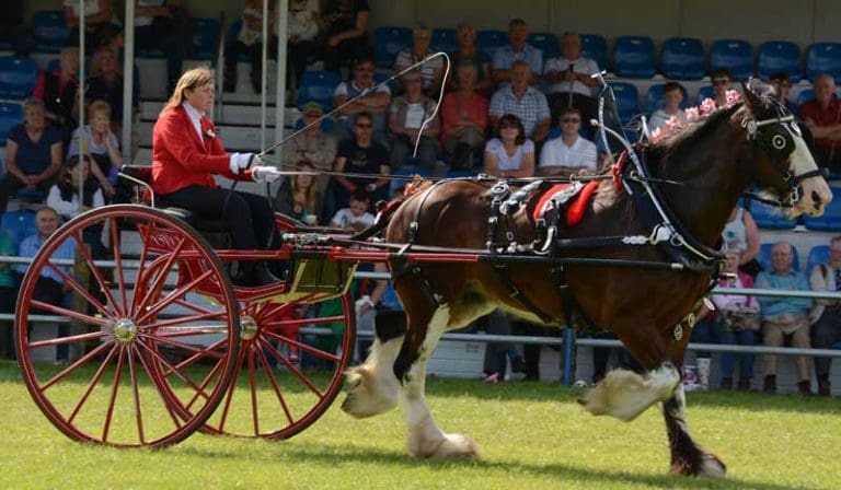 Wigtown Show 2020 - Cancelled