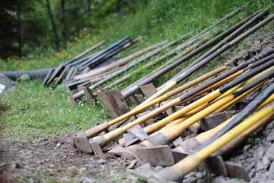 New business support from FLS to keep essential timber supplies flowing