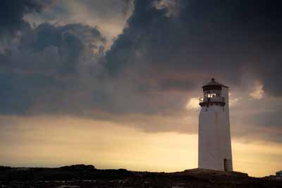 Absence Makes The Heart Grow Fonder For Scotland