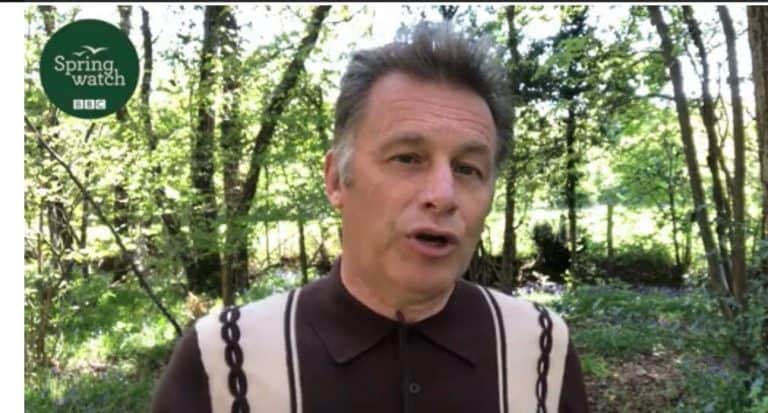 BBC Announces Plans For A Springwatch Like No Other Series