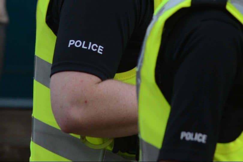 TWO TEENAGERS CHARGED IN RELATION TO GRASS FIRES AT LINCLUDEN - DUMFRIES
