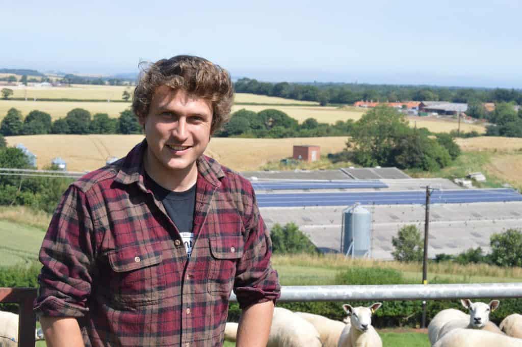 SCOTLAND’S PIG INDUSTRY BUILDS ON STRONG BASE TO RESET, RESTART AND RECOVER FROM COVID-19
