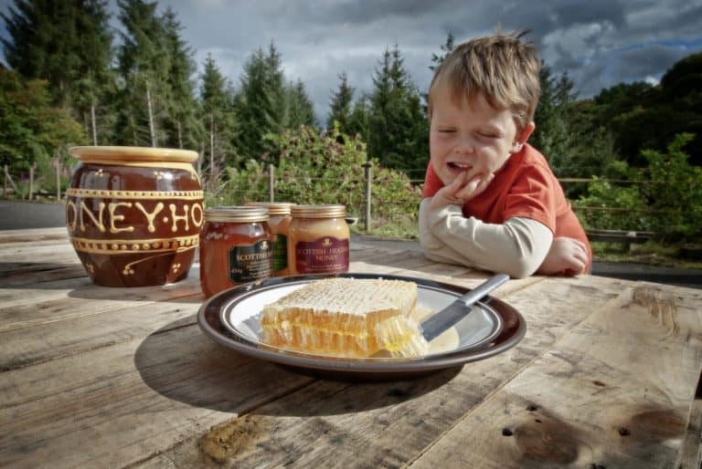 Would You Like To Help Local Food & Drink Businesses? Savour The Flavours Launches Regional Business Restart Survey