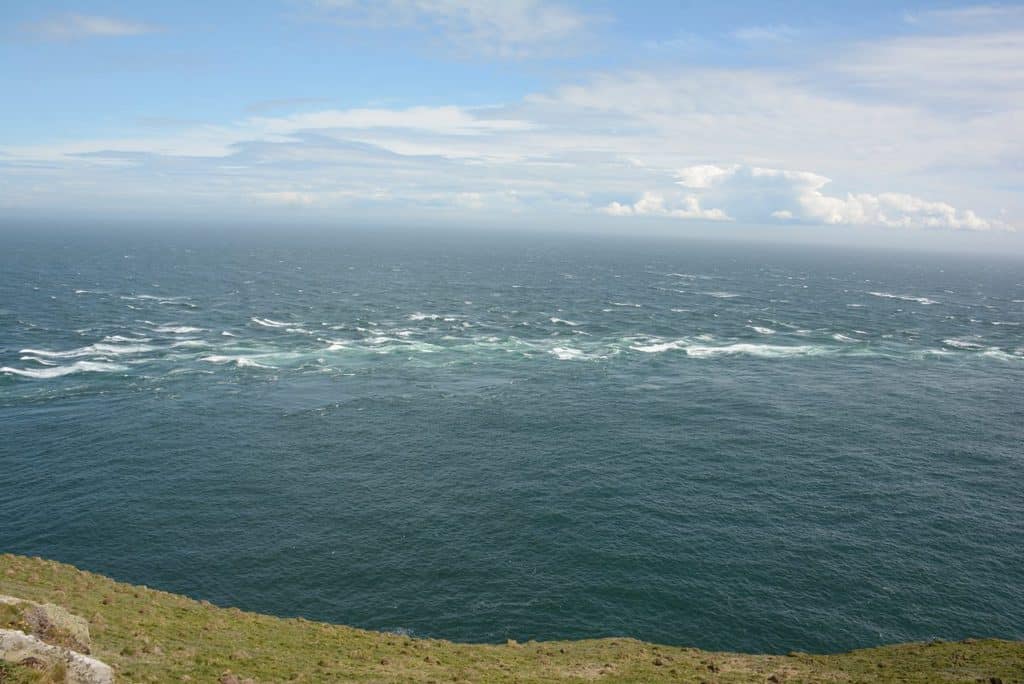 Take Part in the 2020 Irish Sea Survey