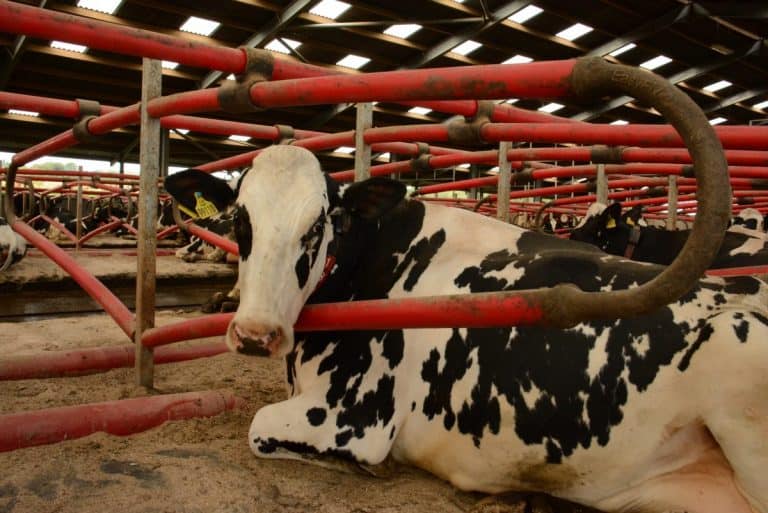 Views sought on agri-tech