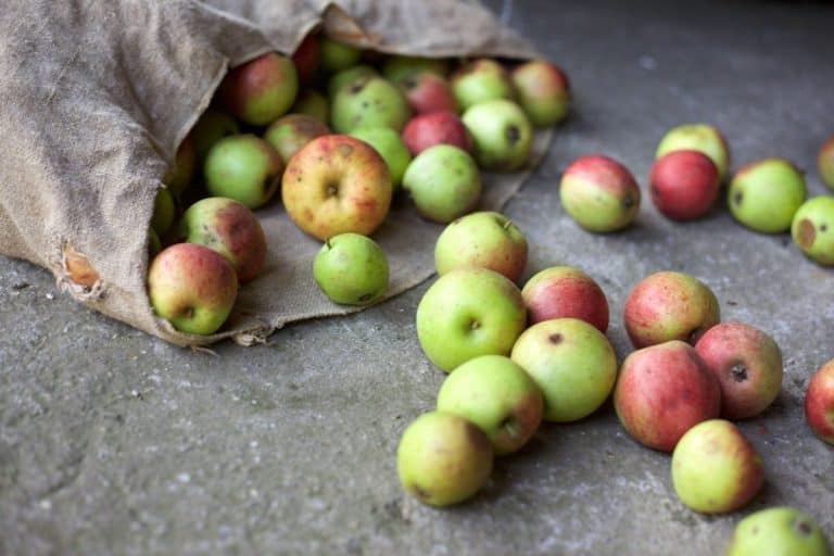 Laying waste to food waste