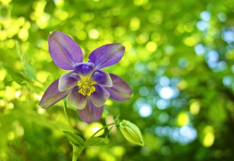 May 2020 Becomes The Sunniest Calendar Month On Record