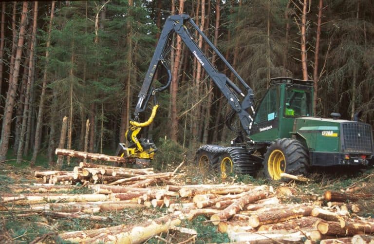 RSFS Davidson Bursary to assist forestry career changers